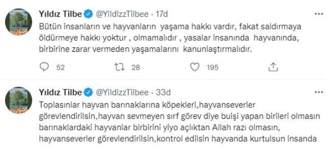 Yıldız Tilbe'nin sokak sokak sokak gösterina Datça Belediyesi'nden yanıt: Tatil için bizi tercih etmedim